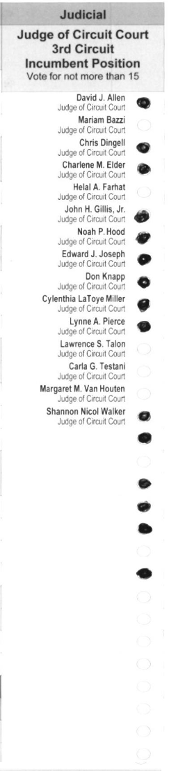 Primary-style BMD ballot example 10